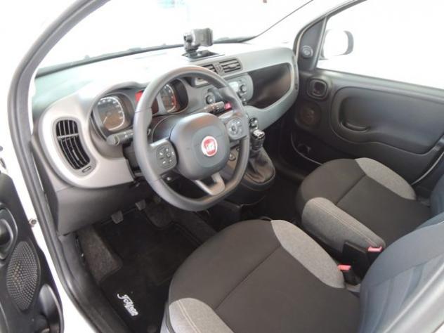 FIAT Panda 1.0 FireFly S&S Hybrid City Life rif. 23926380 - Foto 6