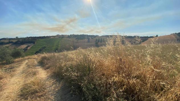 Terreno Agricolo - Roseto degli Abruzzi . Rif.: Cod. rif A132VCG - Foto 11
