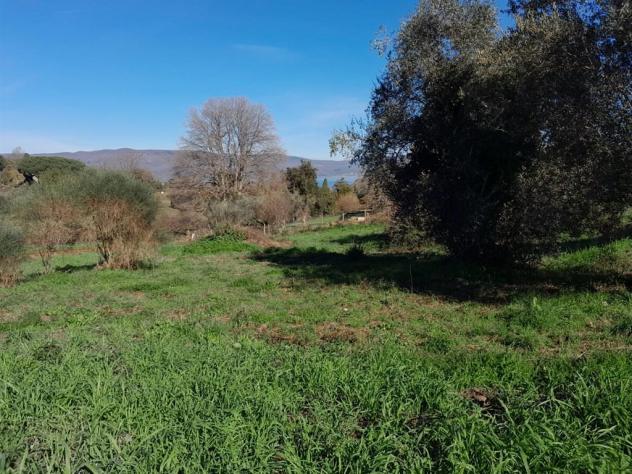Terreno Edificabile - Rif. 2365 - Foto 15