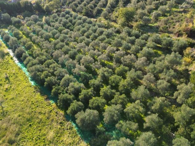 Agricolo in Via Provinciale - Foto 7