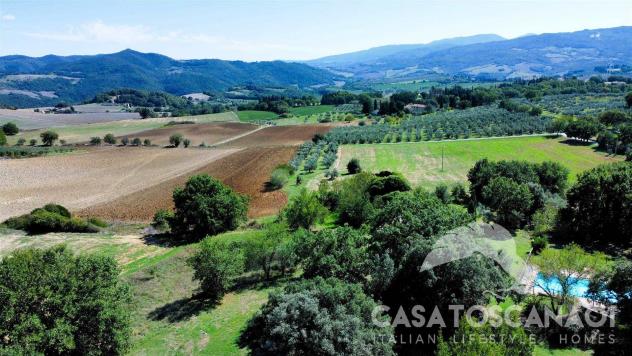 Vendita Rustico casale da 448 mq con giardino - Foto 3
