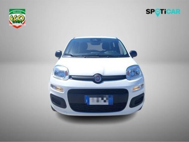 FIAT Pandina 1.0 65 CV Hybrid Icon+GPL rif. 24175574 - Foto 2