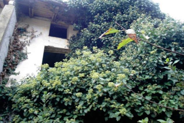 Immobile in asta di 54 m² in vendita a Aviano - Foto 2