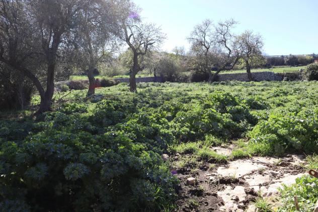 Terreno in vendita a Ragusa, Bruscé - Foto 5