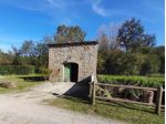 Rustico in vendita a Alberi - Montaione 101 mq  Rif: 1334960