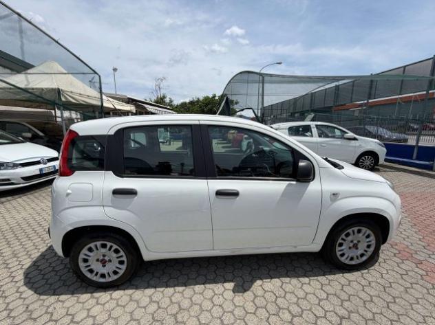 FIAT Panda Panda III 1.2 Lounge easypower Gpl 69cv my19 rif. 23769840 - Foto 4