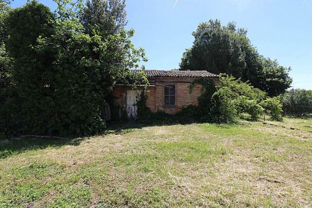 Terratetto in Vendita in zona VOLTANA con giardino - Foto 6