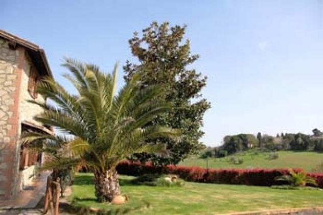 Porano - Vendesi villa con piscina e 1,5 ha di terreno - Foto 4