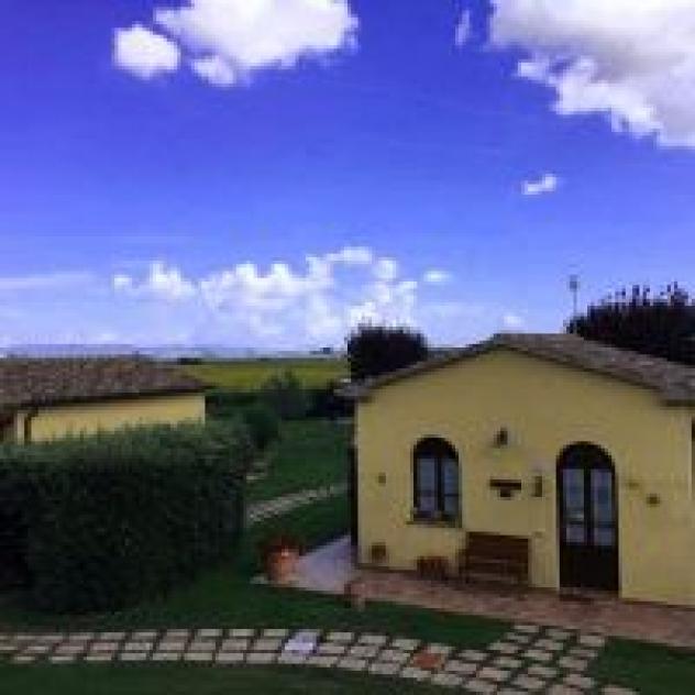 Podere Tre Cipressi di Doria Alessandro - Foto 4