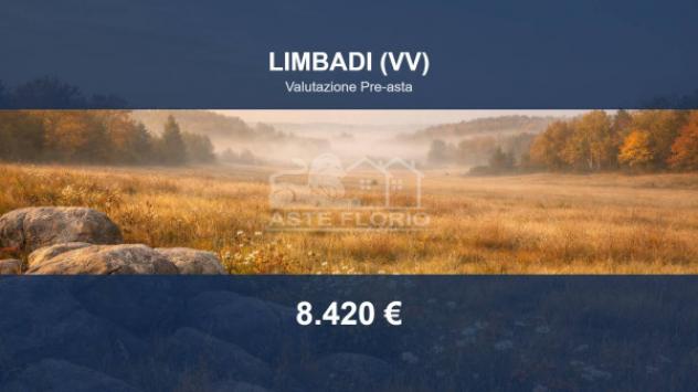 Immobile in asta di 4540 m² in vendita a Limbadi