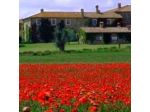 Agriturismo Le Sorbelle d'Orcia