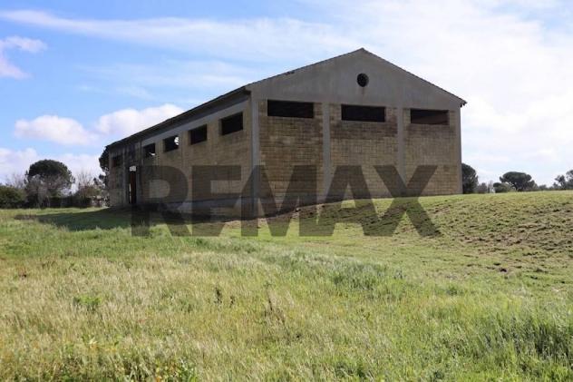 Commerciale Altro in vendita a Ragusa, Bruscé - Foto 2