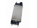 INTERCOOLER NISSAN NV200 1° Serie 14461-1KB2A K9K 892 Diesel 1500 (09)