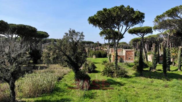 Rustico in vendita a Castagneto Carducci - Foto 7