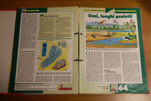 La Terra ieri e oggi, Conoscere Insieme, Il Giornalino 1995/96 - Foto 4