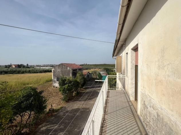 Azienda Agricola - Eboli . Rif.: venebviasanmiel350 - Foto 2