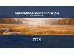 Immobile in asta di 2630 m² in vendita a Castagnole Monferrato