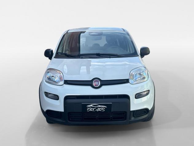Fiat Panda 1.0 FireFly S&S Hybrid Pandina - Foto 9