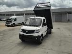 Piaggio Porter NP6 LR 3250/3080 Ribaltabile HD TOP GPL *I.E., PROMO AZZURRA*