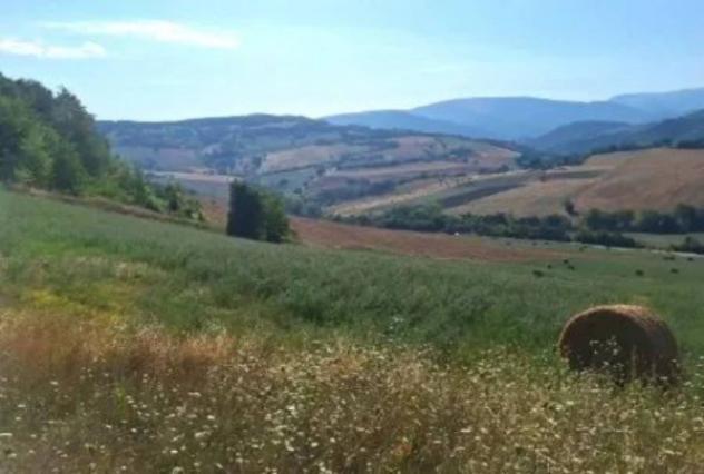 Immobile in asta di 1580 m² in vendita a Camerino - Foto 2
