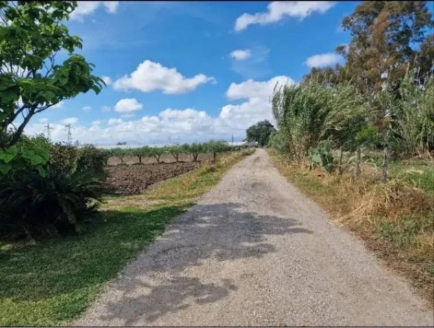 Immobile in asta di 32500 m² in vendita a Eboli - Foto 6