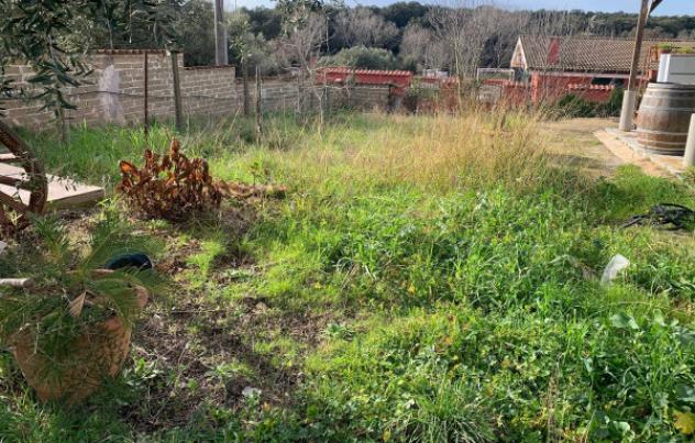 Immobile in asta di 1643 m² in vendita a Nettuno - Foto 6