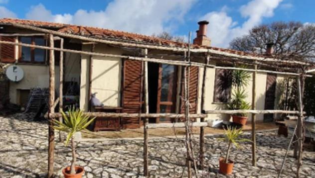Immobile in asta di 155 m² in vendita a Scansano - Foto 4
