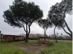 Azienda agricola in vendita a Galleno - Castelfranco di Sotto 1690 mq  Rif: &hellip;