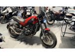BENELLI Leoncino 500 Trail