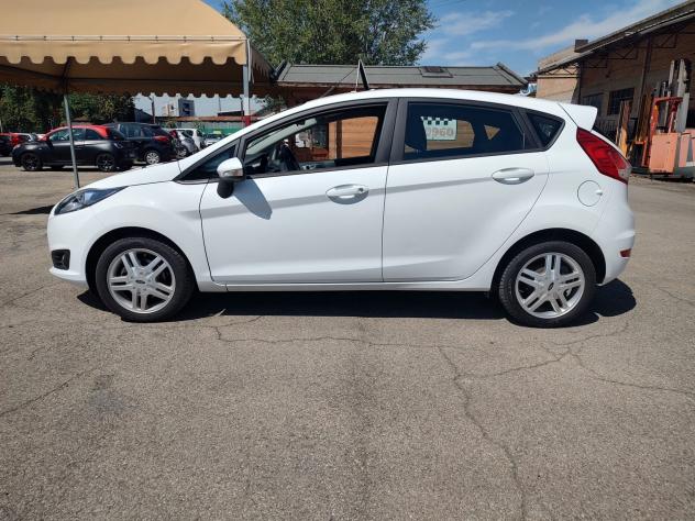 Ford Fiesta Plus 1.4 5 porte, BENZINAGPL, OK NEOPATENTATI, GARANZIA L.12 MESI - Foto 7