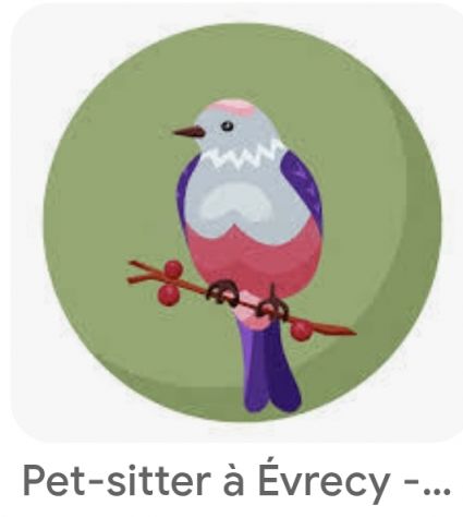 Pet Sitter pappagalli e uccellini - Foto 3