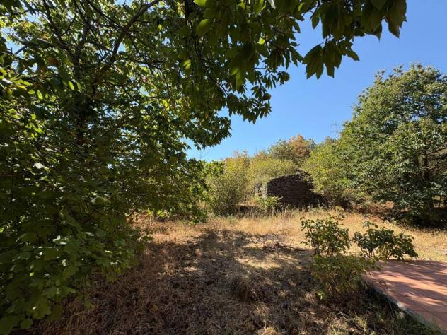 Frutteto in vendita a Piedimonte Etneo - Foto 15