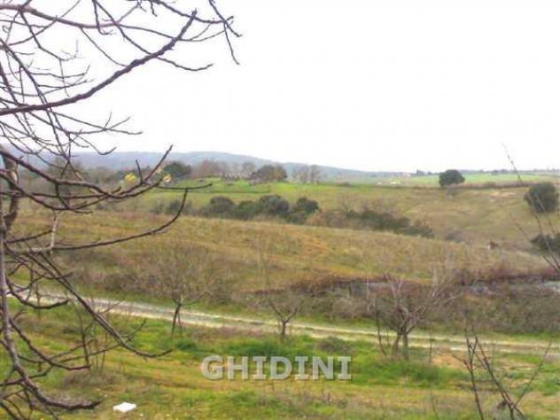 COLONICA di 8 vani e di 200 mq (MAGLIANO IN TOSCANA - POGGIO LA MOZZA) rif. 1017.163M - Foto 19