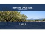 Immobile in asta di 20 m² in vendita a Montalto Uffugo