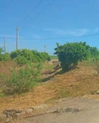 Immobile in asta di 8407 m² in vendita a Palagonia - Foto 2