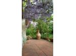 Villa Signorile MQ 290 GIARDINO MQ 500