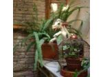 B&B Piccolo Circolo Garibaldino