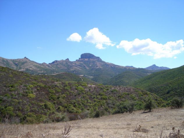 Terreno agricolo in Sardegna - Foto 4