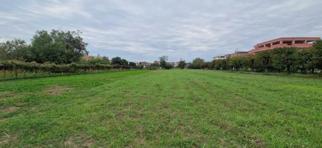 Edificabile in campolongo - Foto 8
