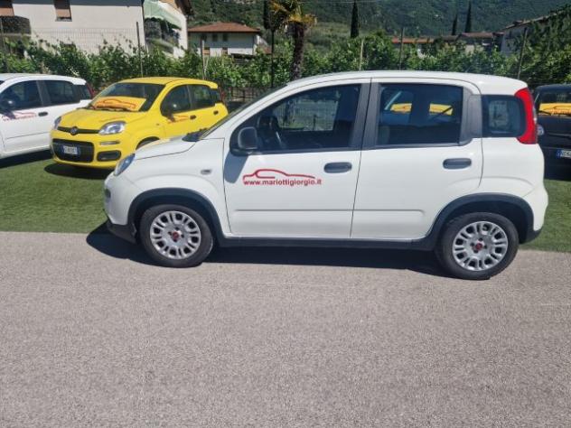 FIAT Panda 1.0 FireFly S&S Hybrid rif. 23632180 - Foto 2