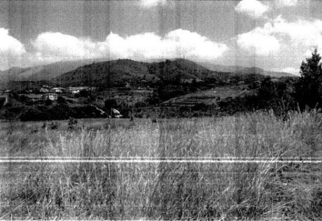 Immobile in asta di 10500 m² in vendita a San Nicola Arcella - Foto 3