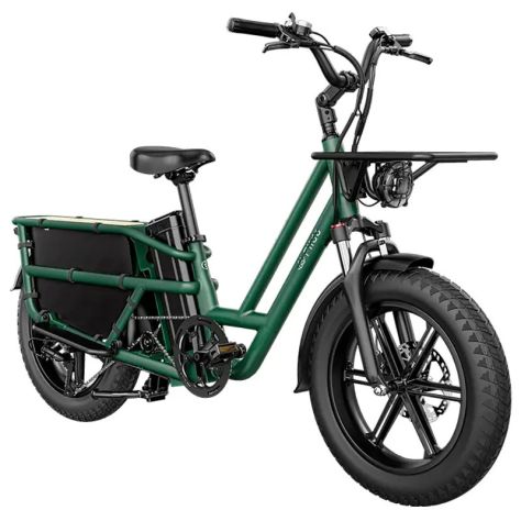 Fiido T2 Cargo E-Bike 250W 48V - Foto 2