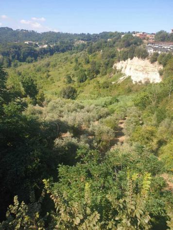 Uliveto in vendita a Morlupo - Foto 12