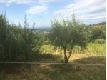 Terreno agricolo in vendita a Poggibonsi 3500 mq  Rif: 1290553