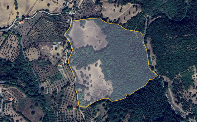 Terreno agricolo in vendita a Montorgiali - Scansano 103300 mq Rif: 1392018 - Foto 9