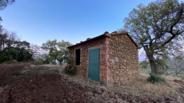 Terreno agricolo in vendita a Montorgiali - Scansano 103300 mq Rif: 1392018 - Foto 3
