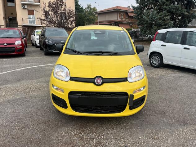 FIAT Pandina Pandina 1.0 firefly hybrid Icon s&s 65cv - Foto 2