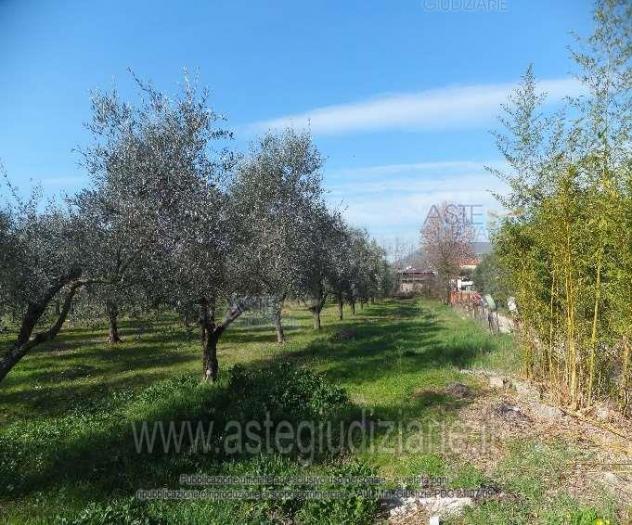 IMMOBILI-ALTRA CATEGORIA-Via Jugoslavia, 03011 Alatri FR, Italia, - Foto 2