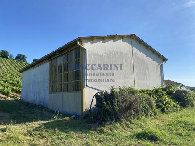 PODERE AGRICOLO CON CAPANNONE - BRISIGHELLA - FAENZA - VIA AGELLO E SANDRONA - Foto 18