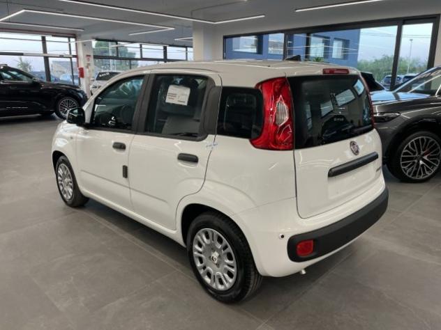 FIAT Pandina 1.0 Hybrid Icon KM0 MY26 rif. 24054649 - Foto 6
